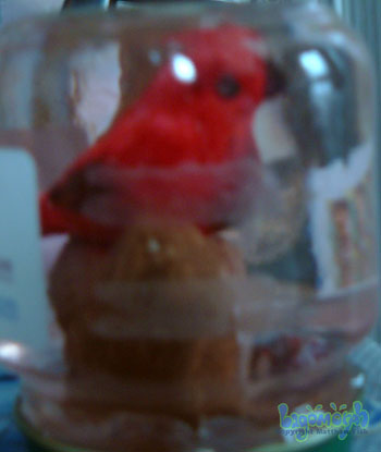 cardinal2